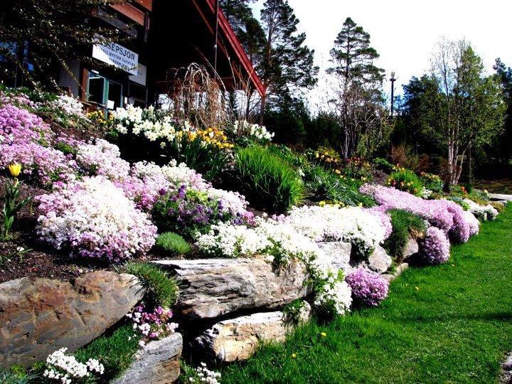 Trolltun Hotel & Hytter Dombås Buitenkant foto